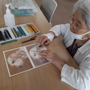 大人の塗り絵イメージ