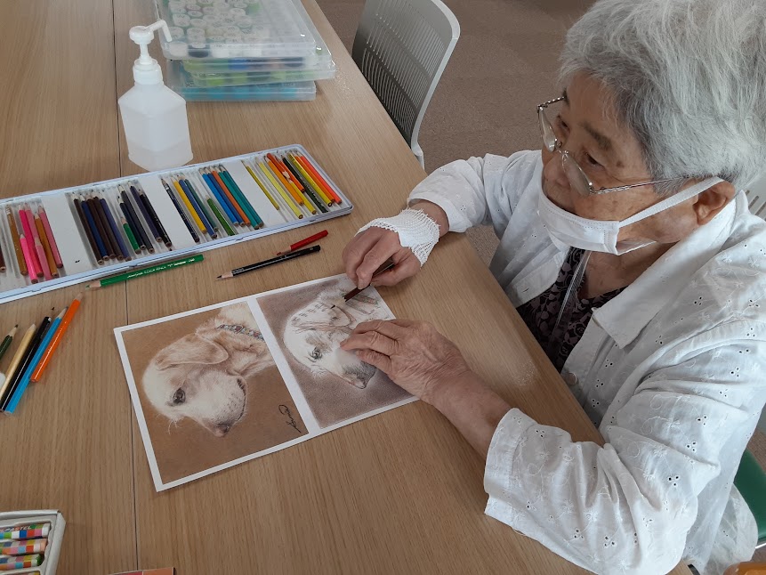 大人の塗り絵イメージ